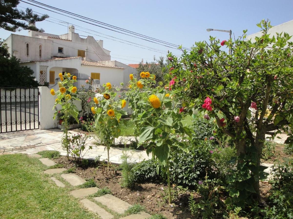 Lemon Tree Relaxing Guesthouse Lagos Dış mekan fotoğraf